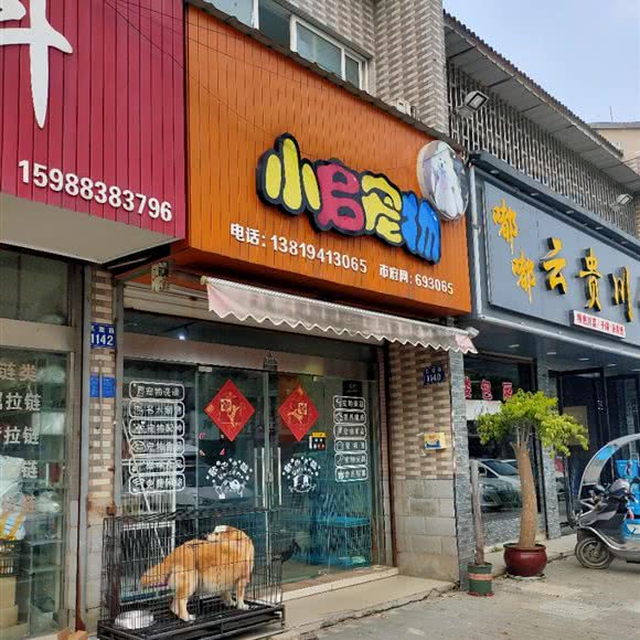 小启宠物:嘉兴市桐乡市