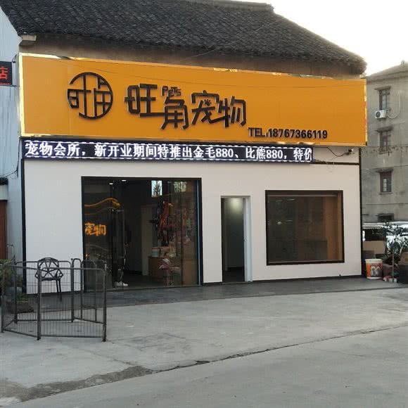 旺角宠物:嘉兴市桐乡市