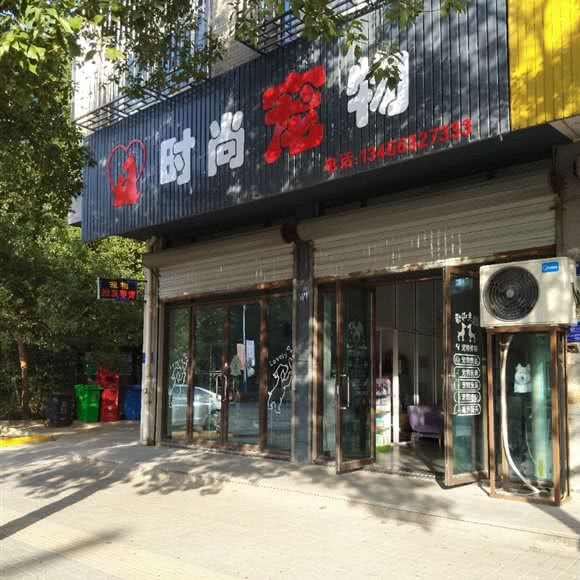 时尚宠物:嘉兴市桐乡市