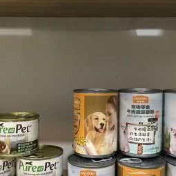一只宠物生活:嘉兴市桐乡市