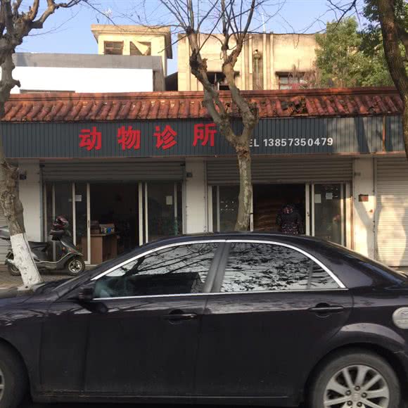 动物诊所:嘉兴市桐乡市