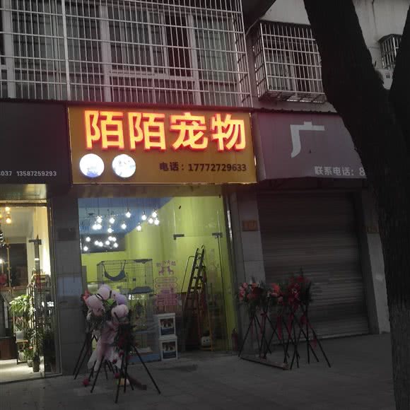 陌陌宠物:湖州市德清县