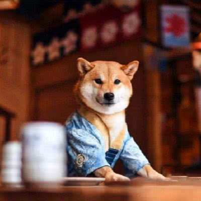 宠佳宠物会所:晋中市榆次区榆次区附近