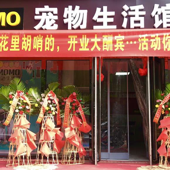 MOMO宠物生活馆:晋中市榆次区榆次区附近