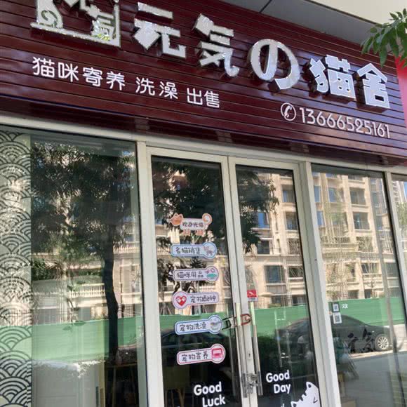 元气猫舍:湖州市长兴县