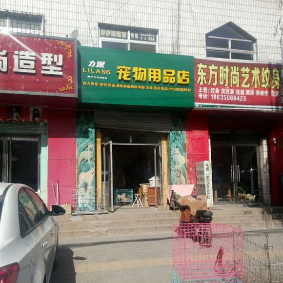 力狼宠物用品店:晋中市榆次区榆次区附近