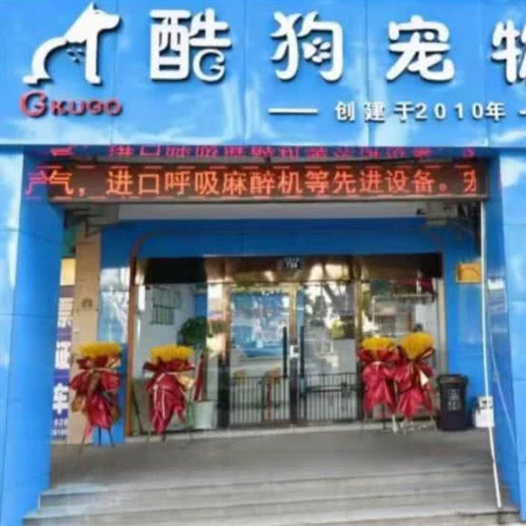 酷狗宠物医院:绍兴市柯桥区