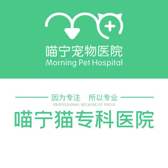 喵宁宠物医院:绍兴市柯桥区