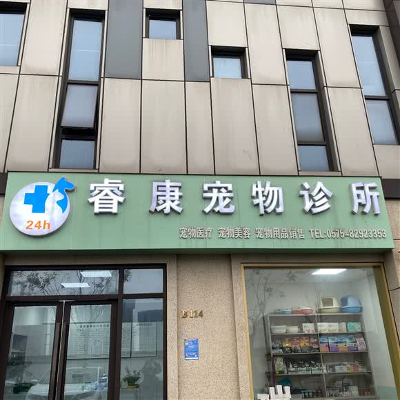 睿康宠物诊所:绍兴市上虞区