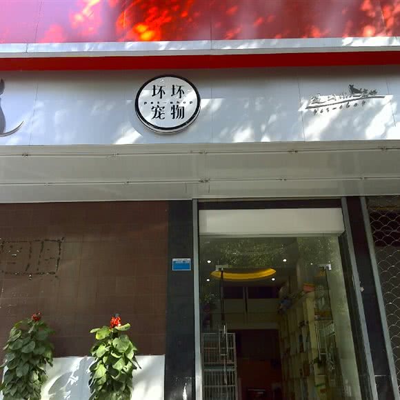 坏坏宠物:绍兴市新昌县