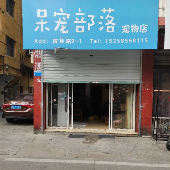 呆宠部落宠物店:绍兴市新昌县