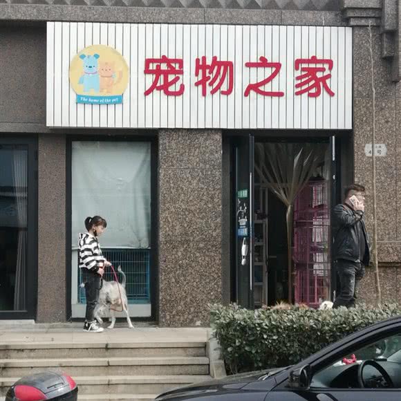 宠物之家(凤山路店):绍兴市新昌县