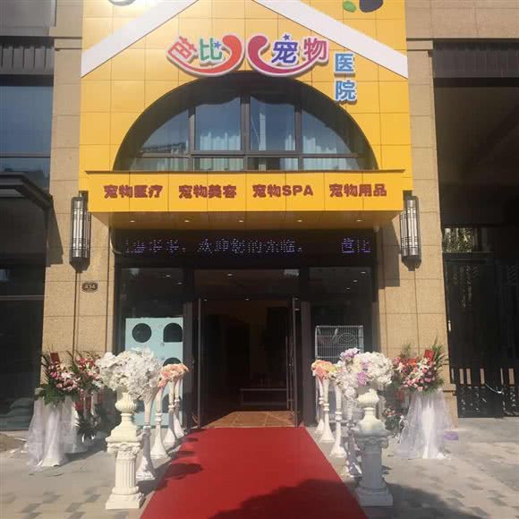 芭比宠物医院:绍兴市新昌县