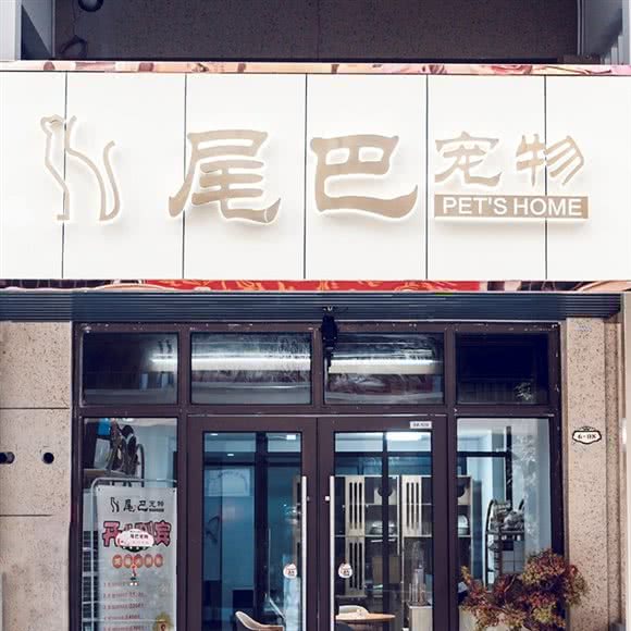 尾巴宠物:绍兴市诸暨市