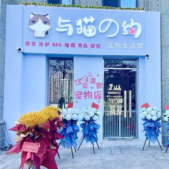 与猫之约宠物生活馆:绍兴市诸暨市