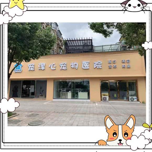 宠泽心宠物医院(帝景院):绍兴市诸暨市