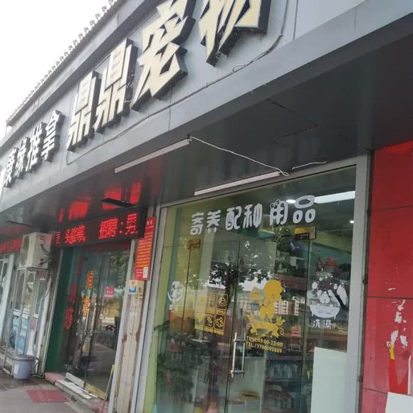 鼎鼎宠物:绍兴市嵊州市