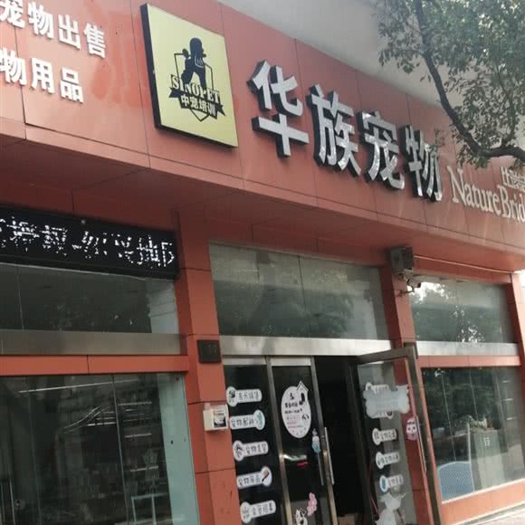 华族宠物:绍兴市嵊州市
