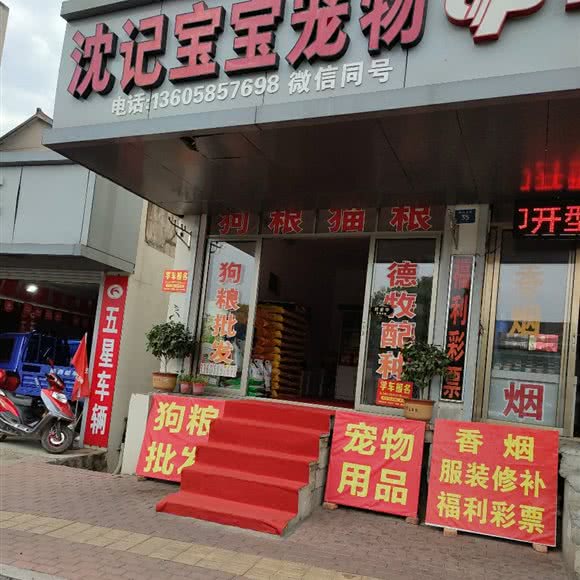 沈记宝宝宠物(文星东路店):绍兴市嵊州市