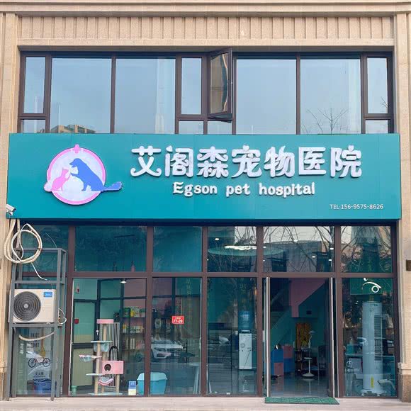 艾阁森宠物医院:绍兴市嵊州市