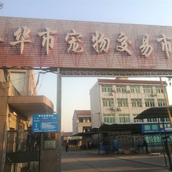 金华市宠物交易市场:金华市婺城区