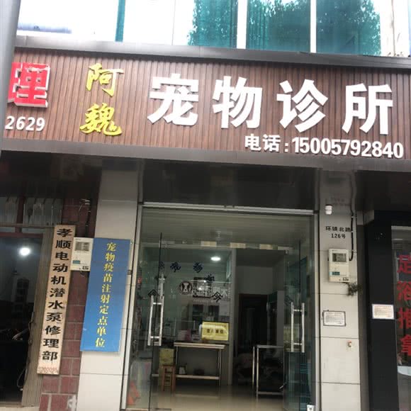 阿魏宠物诊所:金华市金东区