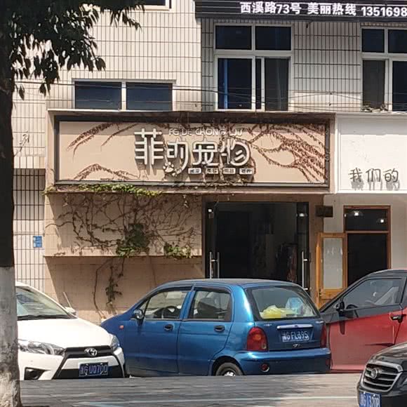 菲的宠物:金华市武义县