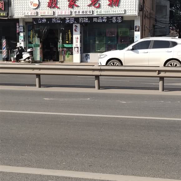 毅家宠物:金华市武义县