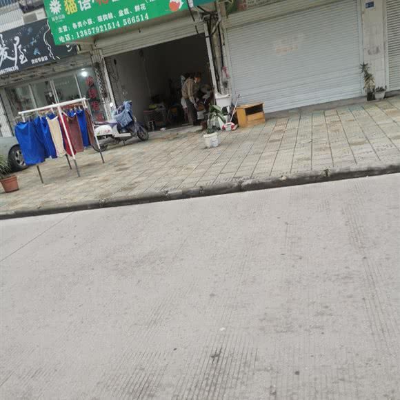 猫语.花园:金华市武义县