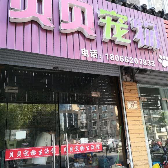 贝贝宠物:金华市兰溪市