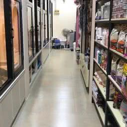 宜佳宠物(滨江路店):金华市兰溪市