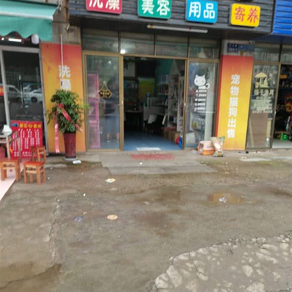 萌宠帝国宠物店:金华市东阳市