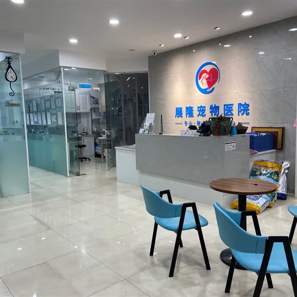 展隆宠物医院:金华市东阳市