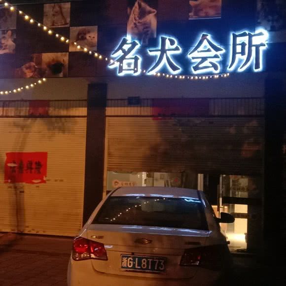 名犬会所:金华市永康市
