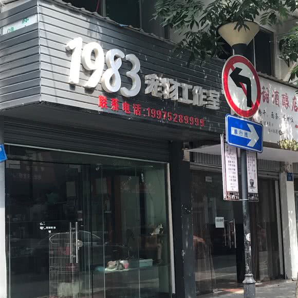 1983宠物工作室:衢州市柯城区