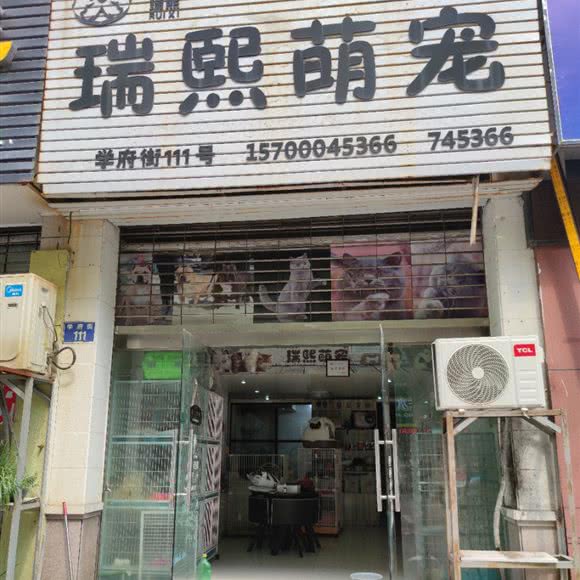 瑞熙萌宠:衢州市江山市