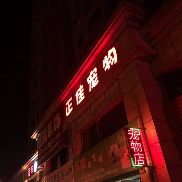 正佳宠物:衢州市江山市