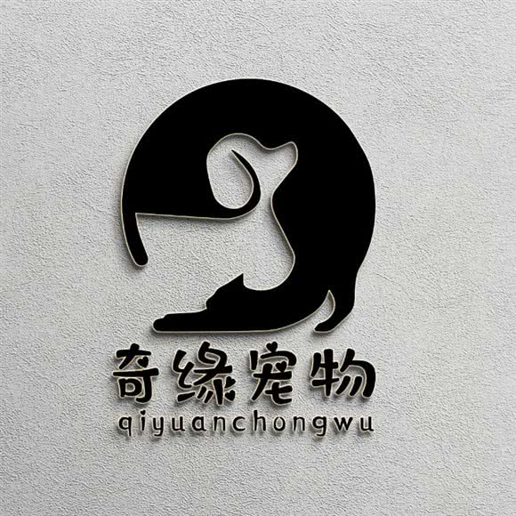 奇缘宠物店:舟山市定海区