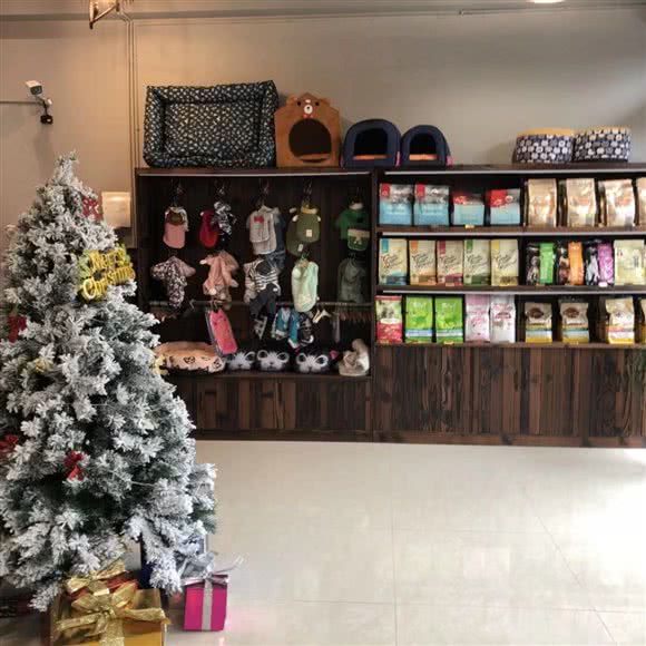 菲兹宠物狗:台州市天台县