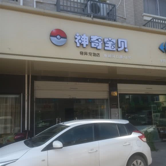 不可思议宝贝奇异宠物店:台州市仙居县