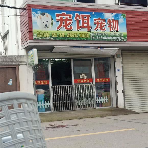 温岭市城北宠饵宠物:台州市温岭市