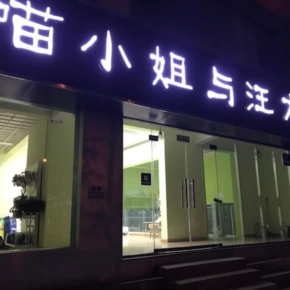 喵小姐与汪大爷:运城市盐湖区沃尔玛附近