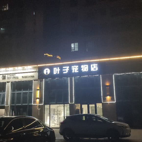 叶子宠物店:台州市温岭市