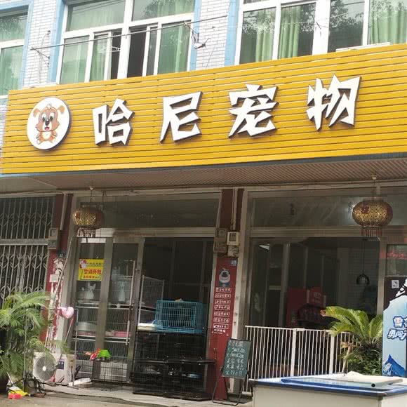 哈尼宠物:台州市温岭市