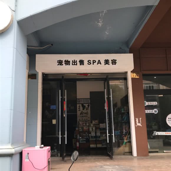 宠上天宠物生活馆:台州市温岭市