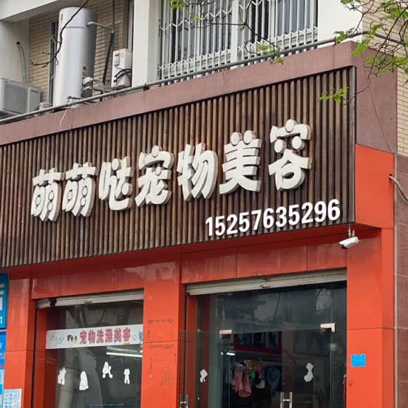 萌萌哒宠物美容:台州市温岭市