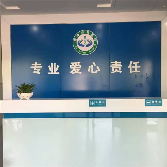爱康动物医院(温岭总院):台州市温岭市