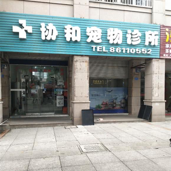 协和宠物诊所:台州市温岭市
