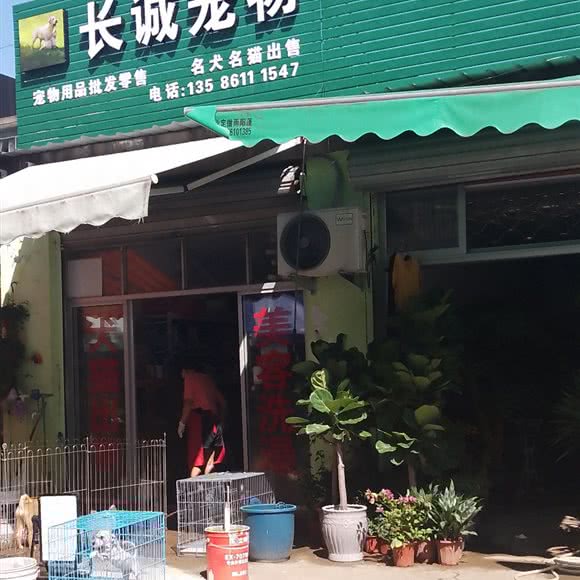 长诚宠物:台州市临海市