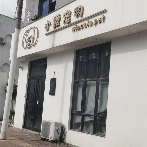 小霞宠物:台州市临海市